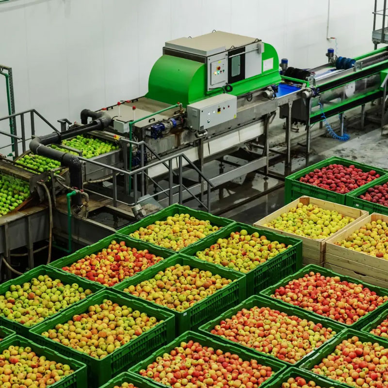 Zöldség-gyümölcs